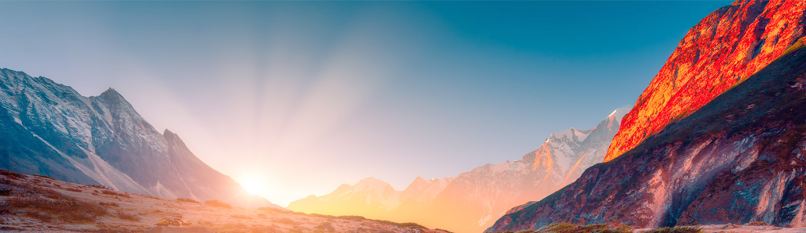 关于凯时优质运营商